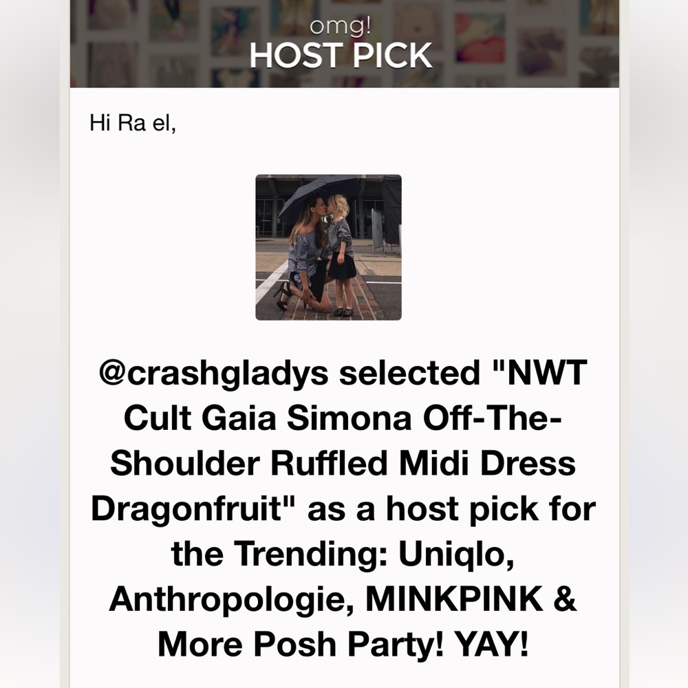 🌺🎉HP🎉🌺 NWT Cult Gaia Simona Off-The-Shoulder Ruffled Midi Dress Dragonfruit - Picture 16 of 16